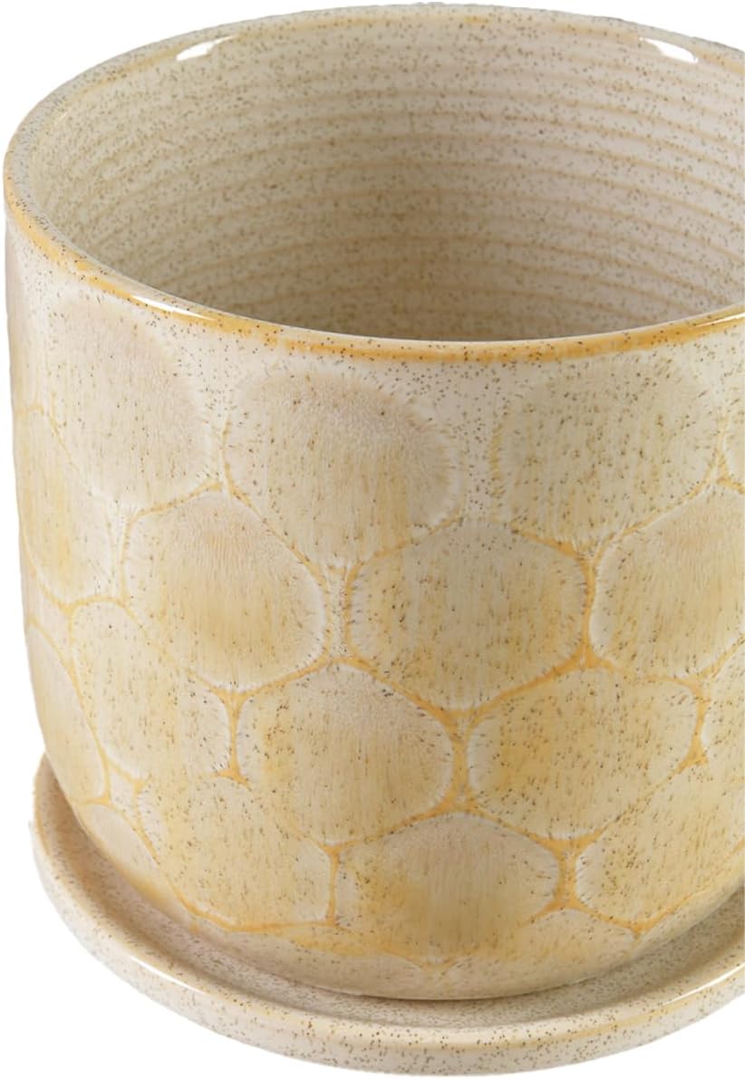 Serene Spaces Living Honeycomb Ceramic Planter with Saucer - Indoor Pot for Plants, Modern & Rustic Home Decor, Perfect for Living Room, Kitchen, Office, 6" Diameter & 6" Tall
