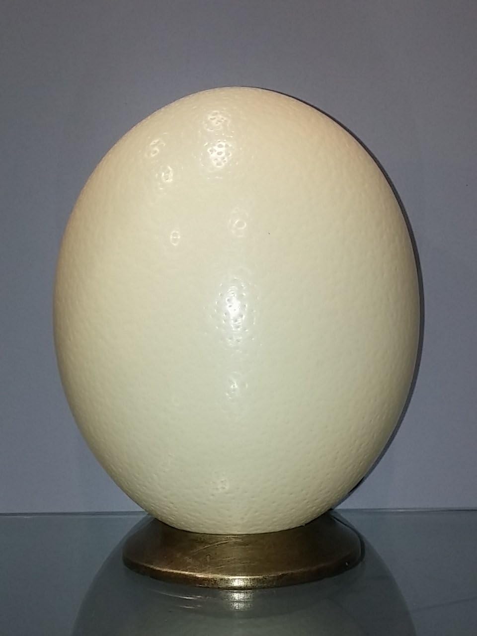 Natural Ostrich Eggs