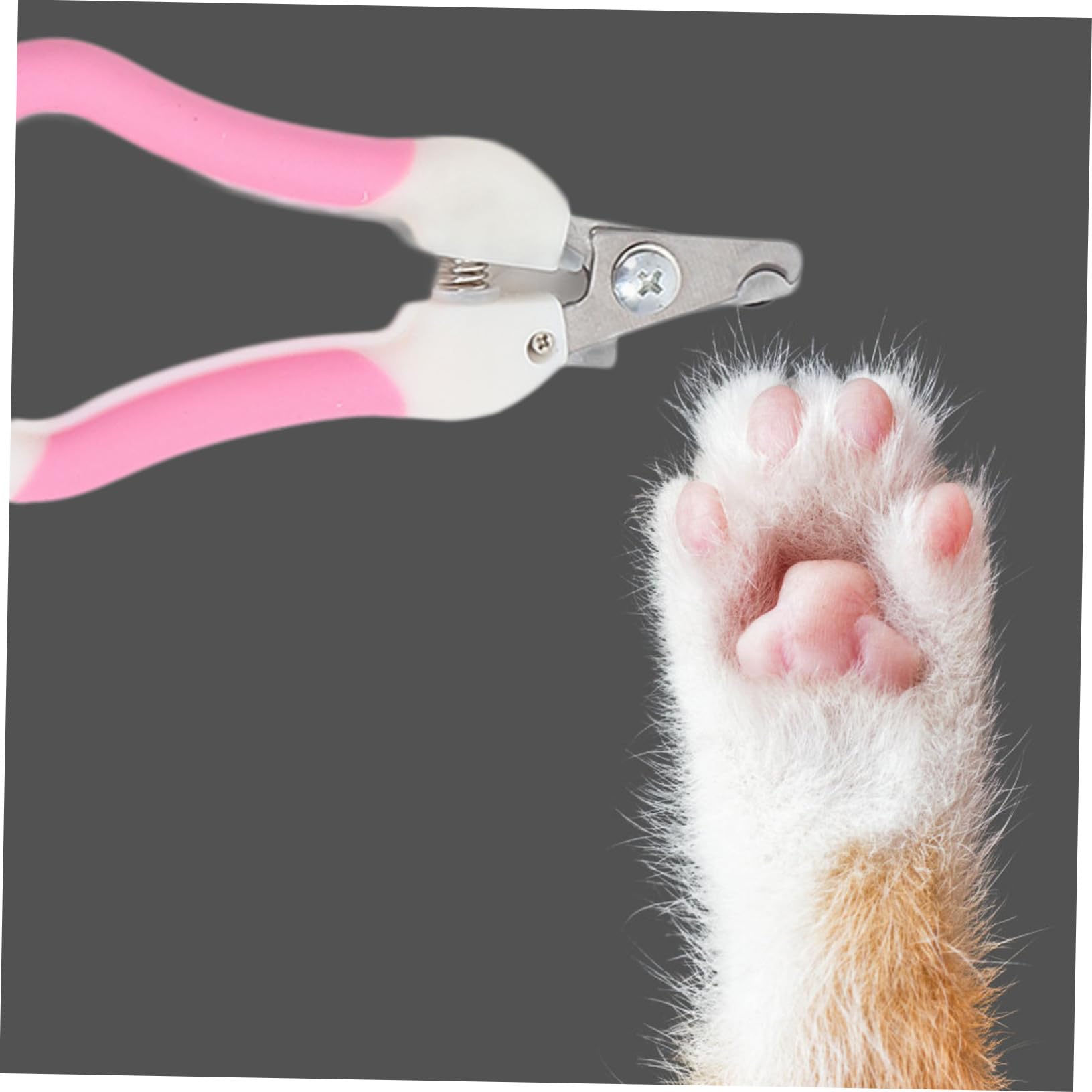 Tagliaunghie per Animali Domestici di Toelettatura Pratico Pettine Amaca per Gatti e Cani Inossidabile