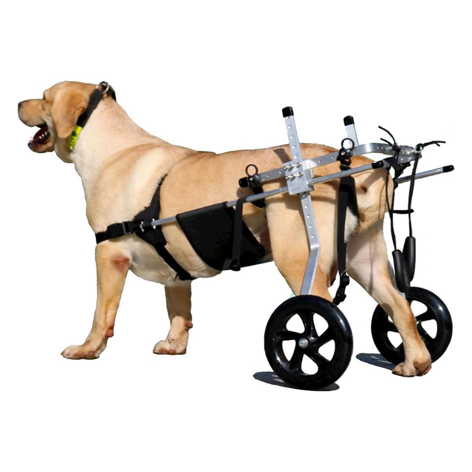 SJMDMZD Dog Wheelchair for Back Legs Medium to Large, 2 Wheel Hind Leg Wheelchair, Adjustable Dog Leg Brace and Hip Support for Rear Leg Hind Limbs Disabled Paralyzed Injured Dogs Cats XXXL