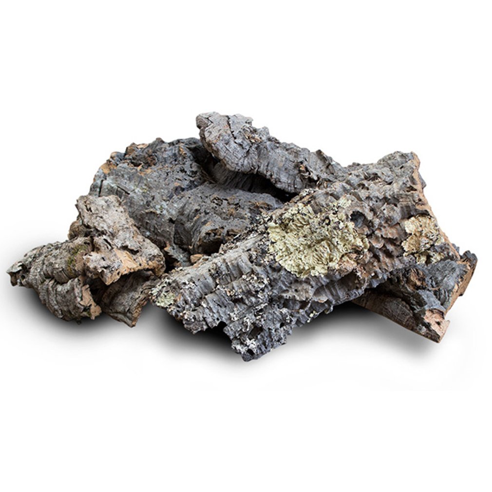 ProRep Cork Bark Mixed Pieces 5 kg | Natural Reptile Terrarium Décor | Durable, Lightweight Cork for Hides, Climbing & Bioactive Enclosures