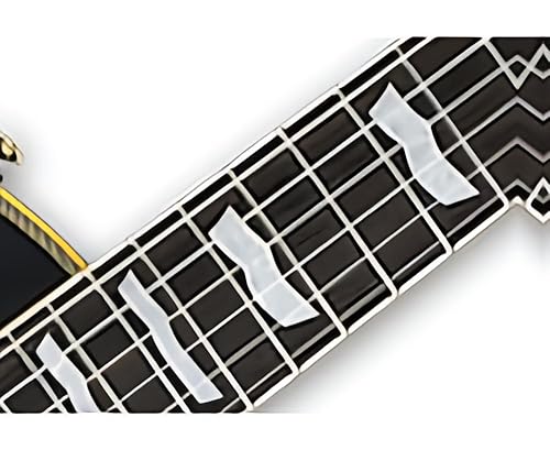 Amazon.com: ESP LTD EC-1000 Duncan Electric Guitar - Vintage Black