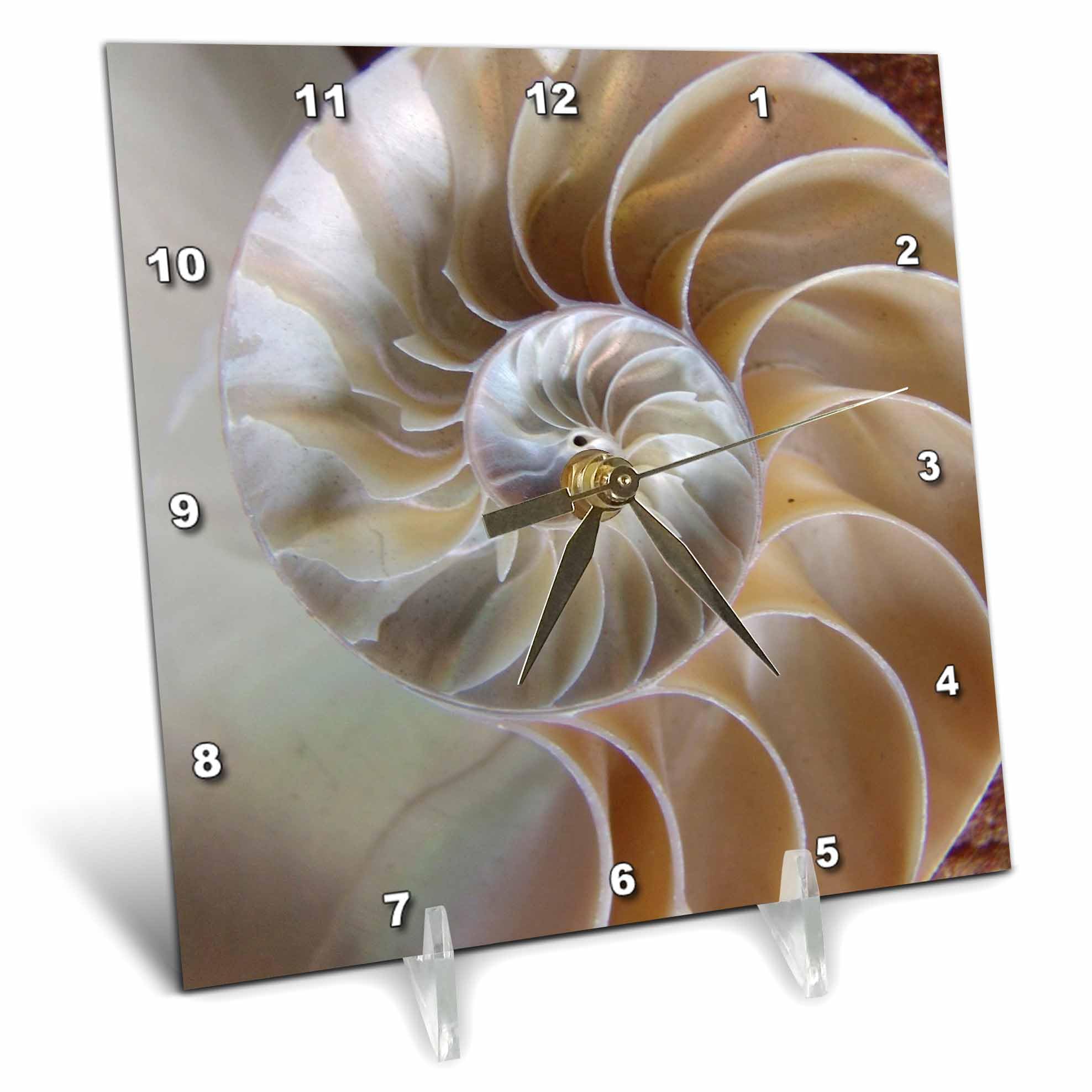 3dRose dc_7487_1 Nautilus Shell-Desk Clock, 6 by 6-Inch