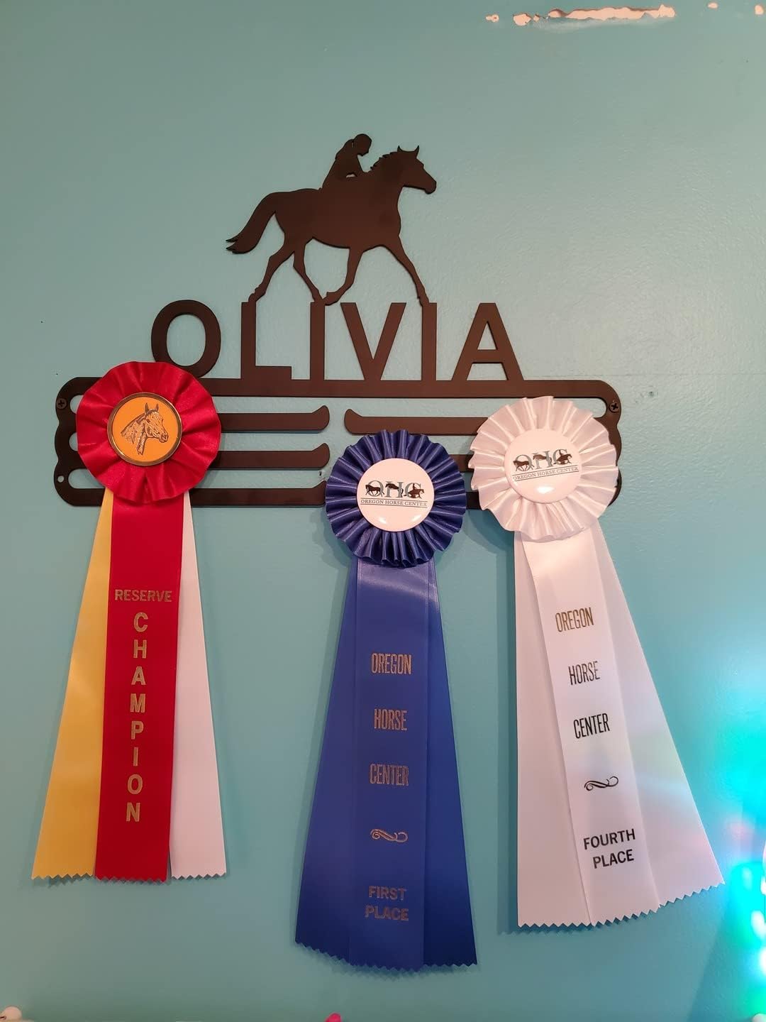 Athlete's Gift Shop Personalized Horseback/Equestrian Ribbon & Medal Display Hanger - Durable Wall-Mounted Display for Awards, Trophies, and Medals - Sleek Design, Easy Installation - Made in The USA
