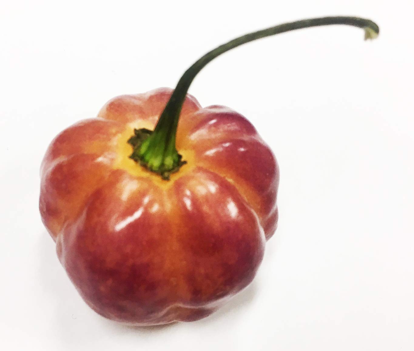 Sunset Peach CGN 21500 Hot Pepper Premium Seeds for Planting Packet + More