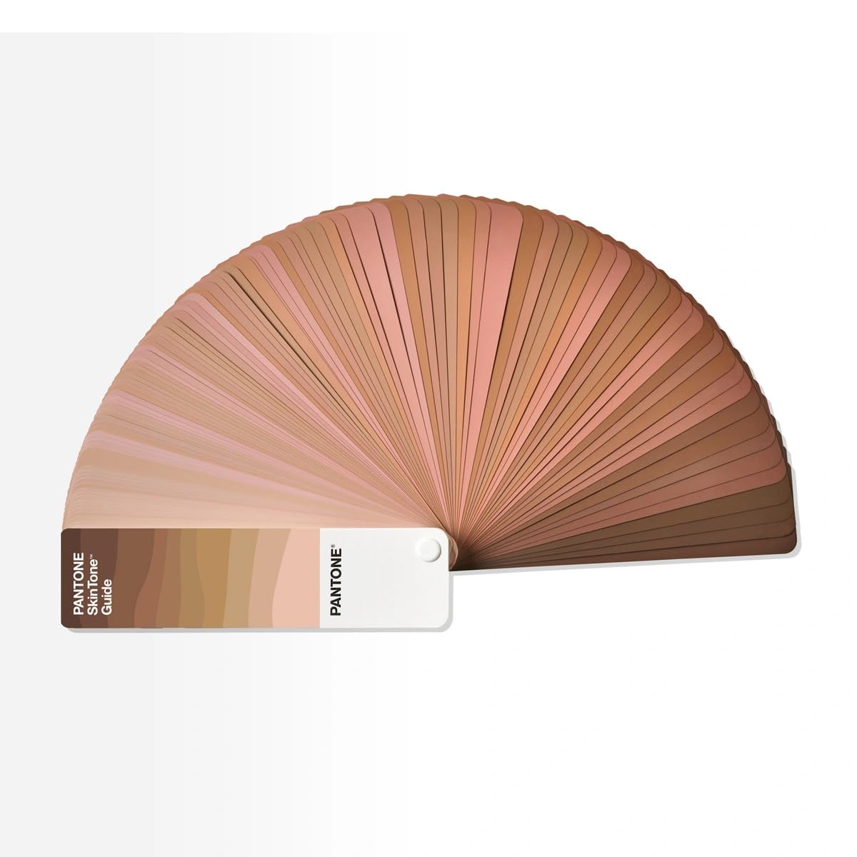 Amazon | パントン(PANTONE) 色見本 パントン・スキントーン・ガイド