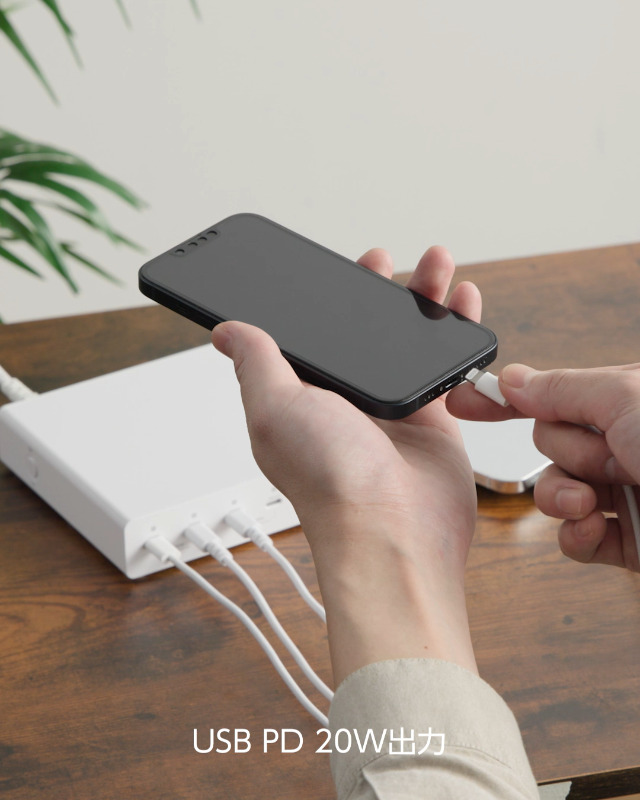 Amazon | サンワサプライ USB PD対応AC充電器（6ポート・合計72W） ACA