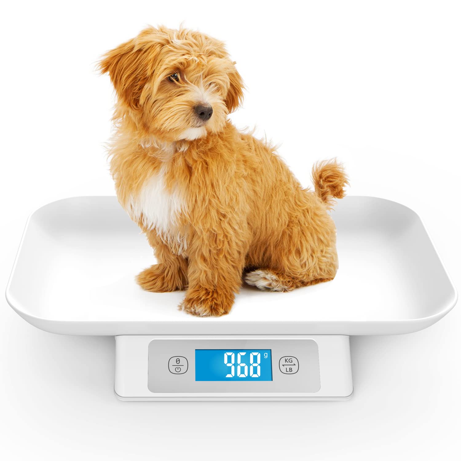 Digital Pet Scale with Tray - Perfect for Puppies, Newborns, Cats, Hamsters, Hedgehogs and Other Small Animals - 33lb/0.03oz Accuracy - White
