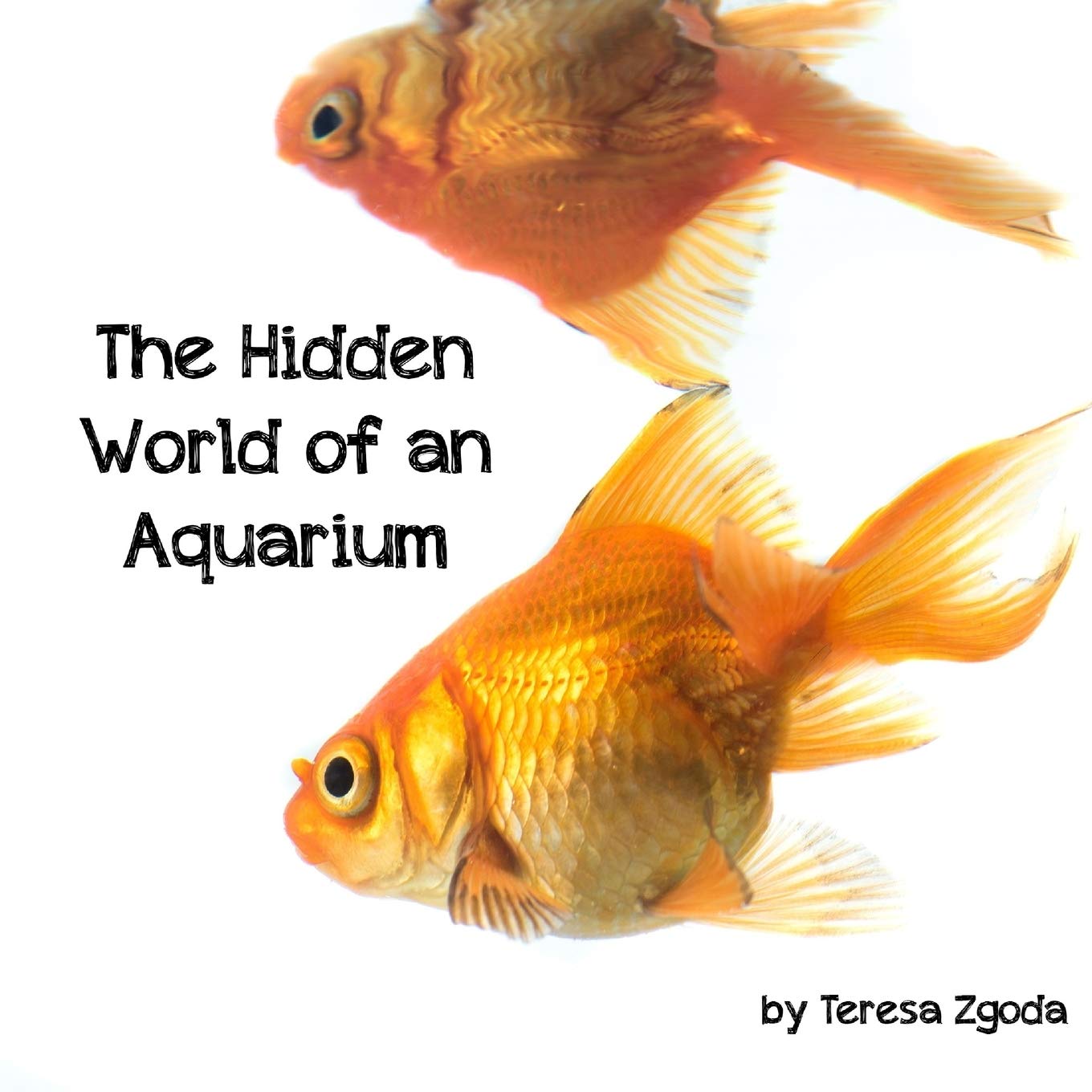 The Hidden World of an Aquarium