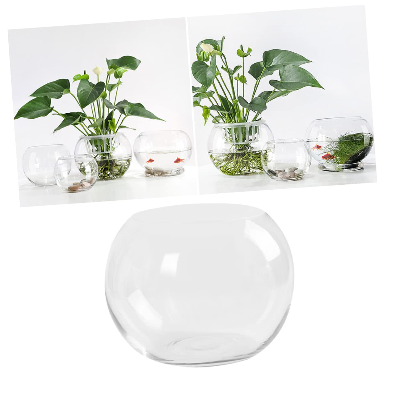 Vase en Verre Transparent Arrondi pour Plantes Hydroponiques Surface Lisse et Résistante la Rouille, Décoration de Bureau Créative pour Maison ou Hôtel