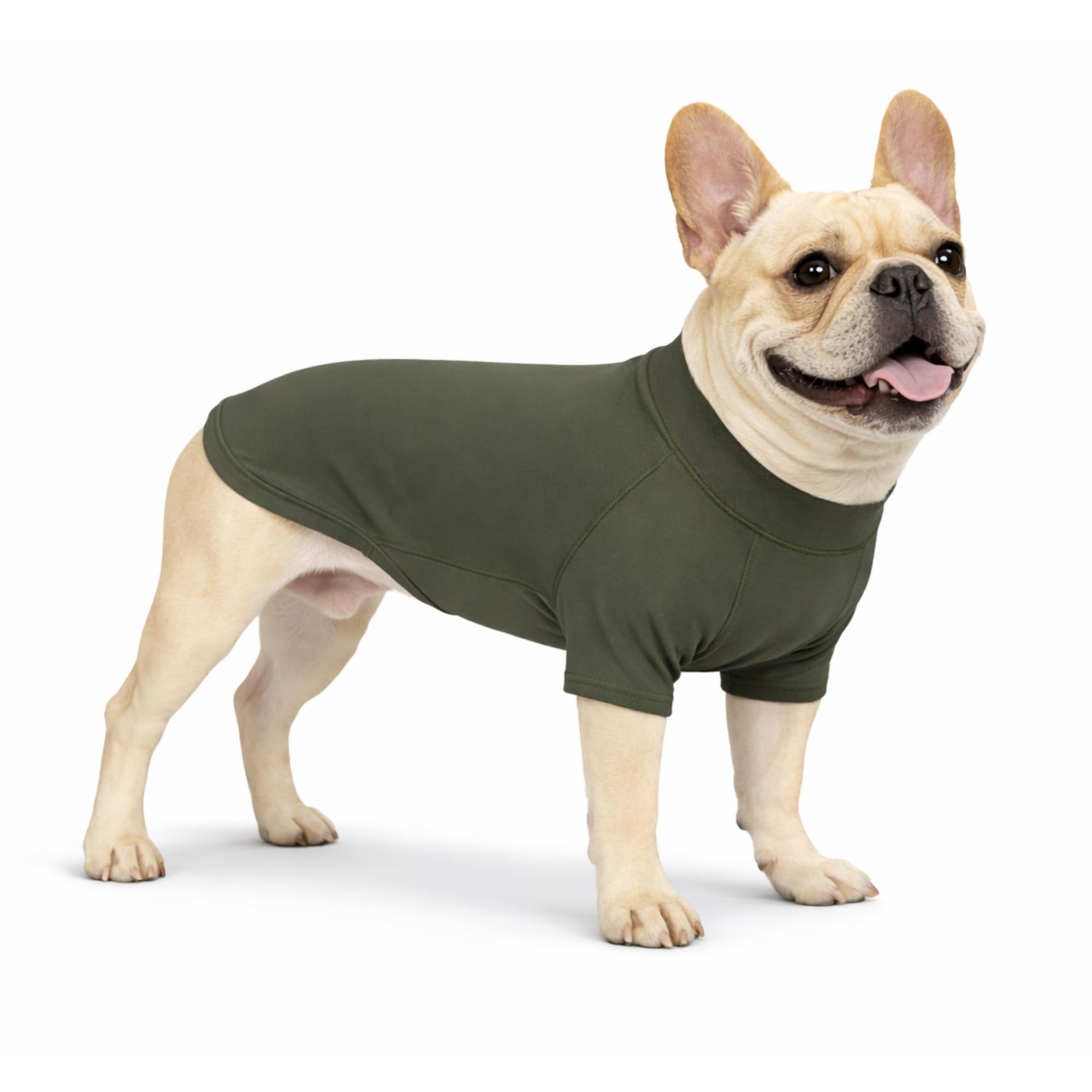 T-shirt pour animaux anti-perte de poils en coton doux extensible vert kaki taille XXS
