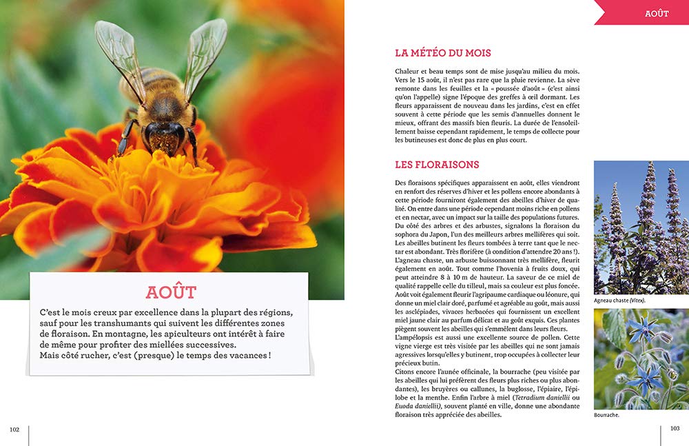L'apiculture mois par mois Nouvelle édition