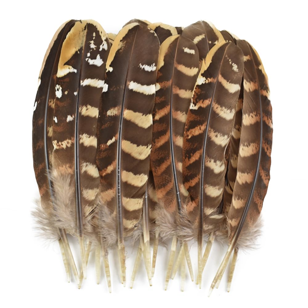 Plumes d'aigle naturelles pour l'artisanat, accessoires de coiffure, décoration de vacances, plumes de carnaval, décor artisanal DIY, 10 pièces/lot  15
