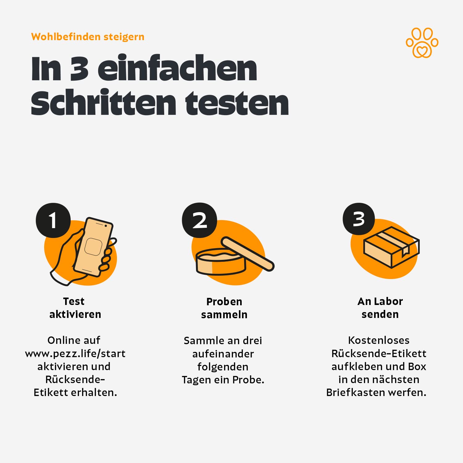 Pezz Wurmtest für Hunde (PRO) zum Testen auf die häufigsten Wurmarten inkl. Giardien | Labor-Befund inkl. Handlungsempfehlung | mit gratis Labor-Versand (1 Stück)
