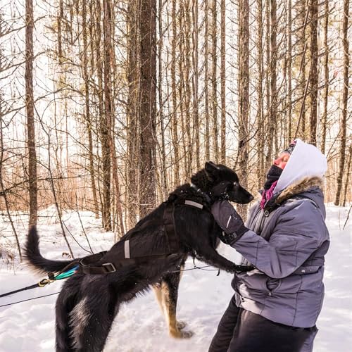 Waycin Hundegeschirr zum Ziehen, X-Rücken Mushing Husky Geschirr für große laufende Hunde, Schwarz