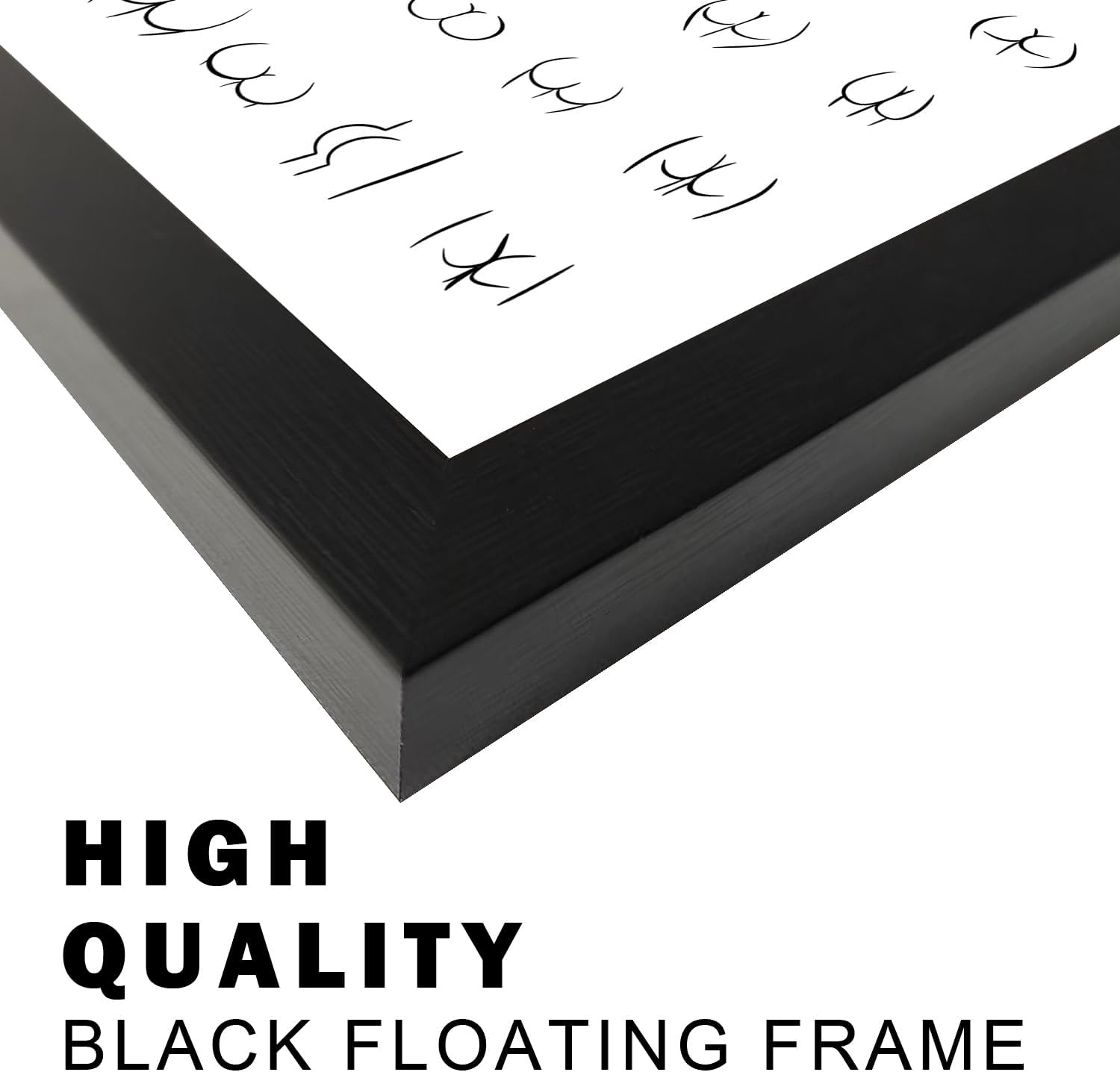 Black and White Bathroom Wall Art Framed Funny Wall Decor Canvas Print Bthroom Sign Picture Artwork