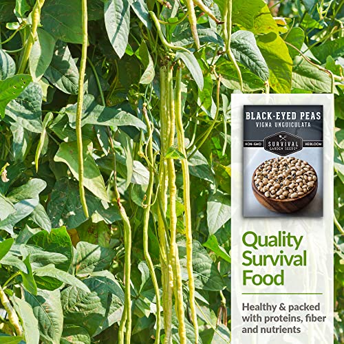 Survival Garden Seeds - Blackeyed Pea Seed For Planting - Packet With Instructions To Plant And Grow Black Eyed Cowpeas In Your Home Vegetable Garden - Non-Gmo Heirloom Variety #TOP3