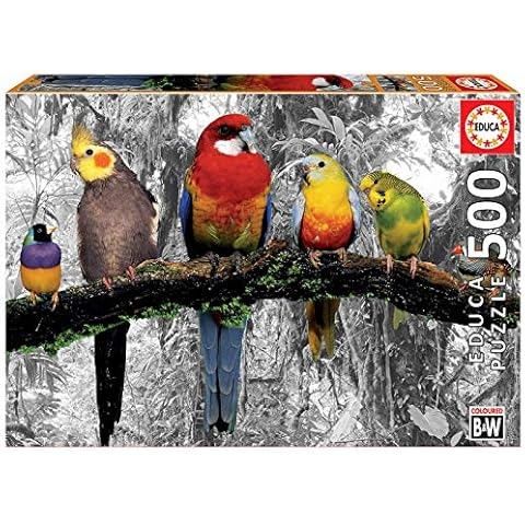 Educa - Serie Coloured B&W: Pájaros en la Jungla Puzzle, 500 Piezas Cover