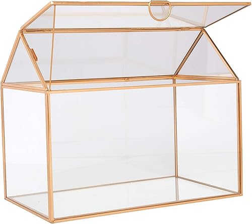 D'Eco Terrario de cristal para plantas de casa (10 x 6 x 8 pulgadas), terrario geométrico dorado de mesa para suculentas, plantas de aire, musgo,