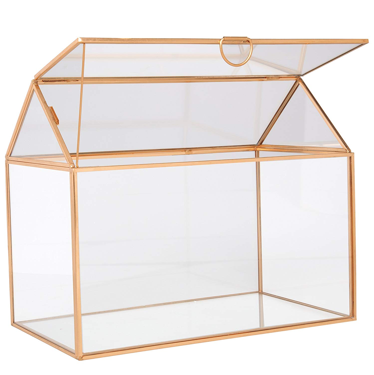 D'Eco Terrario in vetro (25,4 x 15,2 x 20,3 cm) - Terrario da tavolo per piante grasse, piante aeree, muschio, casa estiva, giardino, ufficio e matrimonio, decorazione botanica - regalo per