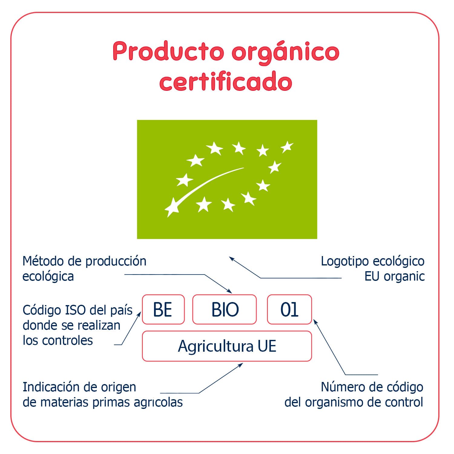 FLEUR ALPINE Baby Galletas para Gachas de Desayuno Suaves o Refrigerio Diurno | 12x2 Bocadillos de Avena Orgánica | Galletas Nutritivas y Fáciles de Comer Integrales | 9 Meses