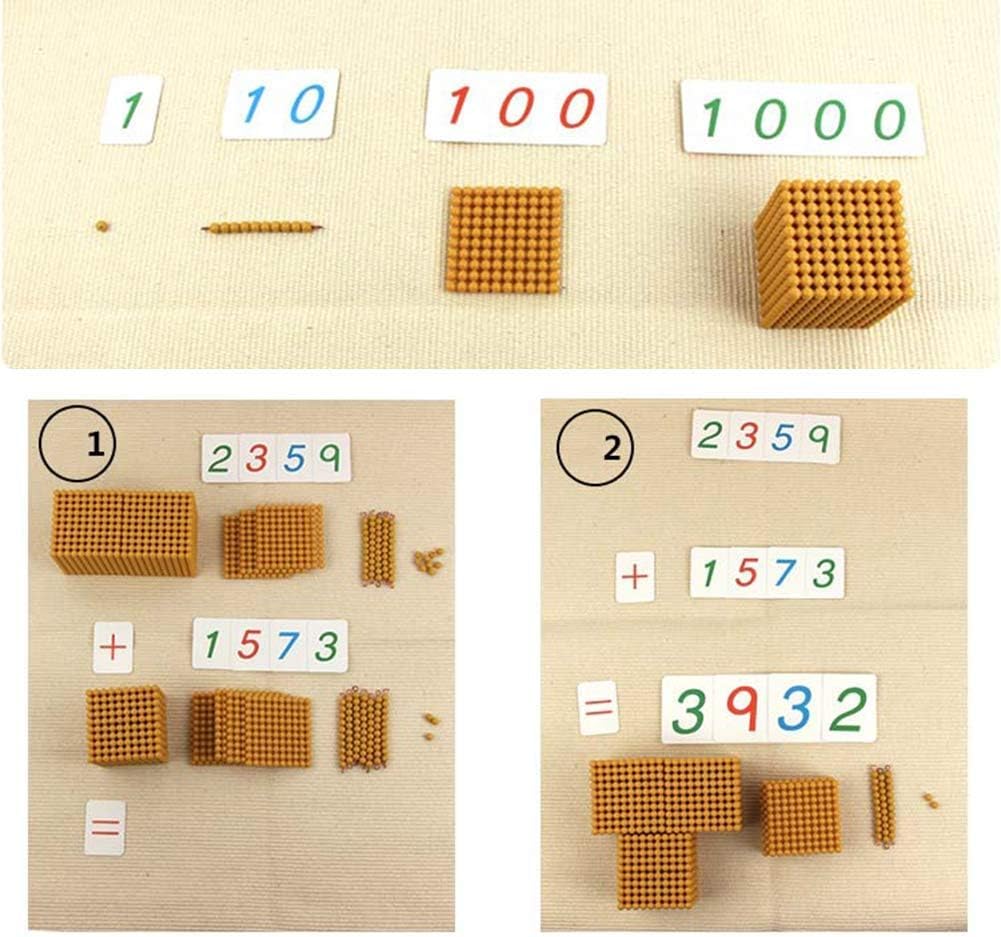 Montessori Set di perline dorate, salvadanaio decimale in legno, ausili per l'insegnamento della scuola elementare, giocattoli matematici per la scuola matematica