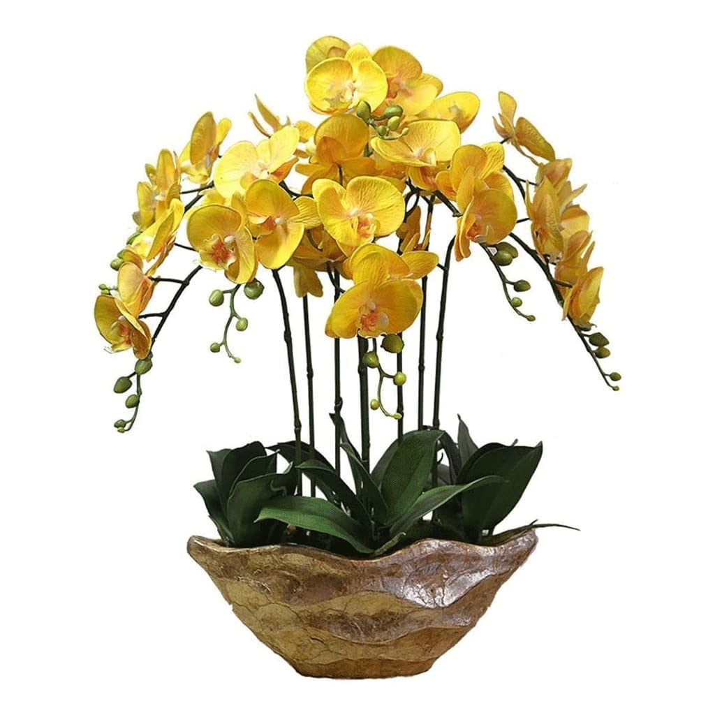 XDLEDMKIZ Orchid Artificial Flowers Faux Orchids Elegant Artificial Phalaenopsis Flowers Bonsai with Resin Vase Artificial Flowers Botanical Arrangement natural look