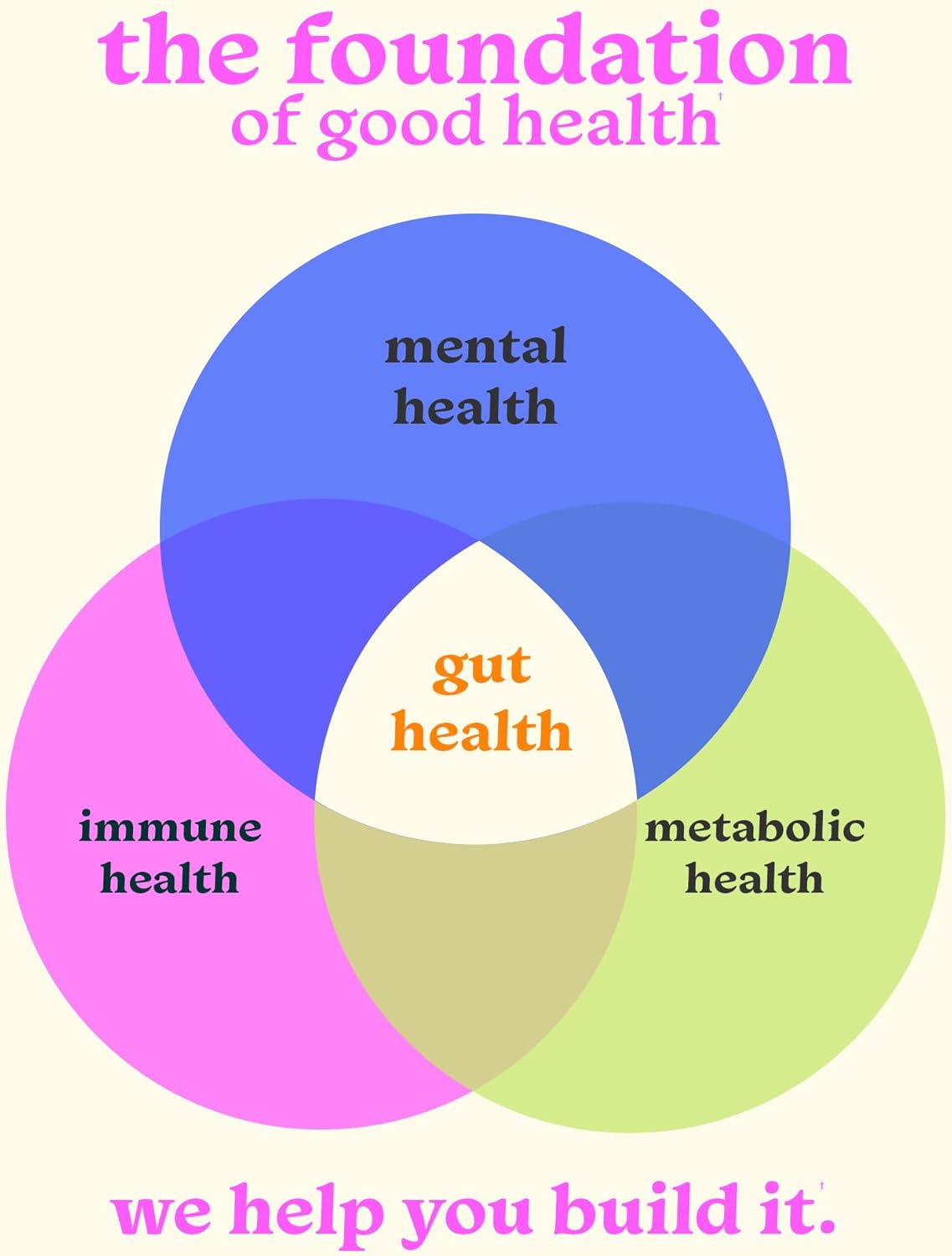 Gut-Friendly Protein Powder for Sensitive Stomachs, Low FODMAP, 20g Vegan Pea & Rice Protein with Prebiotic Fiber, Dairy-Free, Gluten-Free, No Gums or Added Sugar - Chocolate Swirl - Image 7