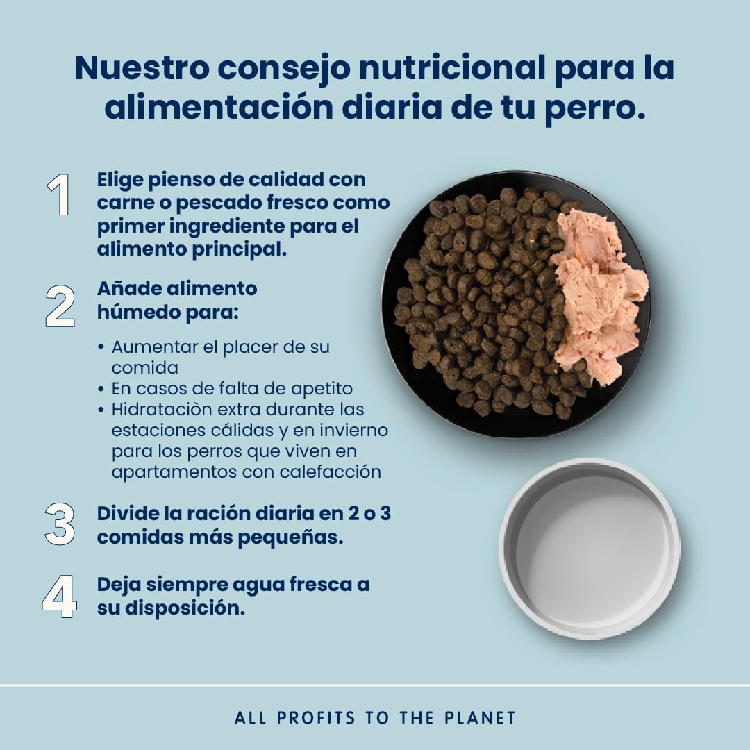 Almo Nature Life Maintenance Pienso Seco para Perro M con Pollo 12 kg – Alimento Completo para Perros Adultos de Raza Mediana
