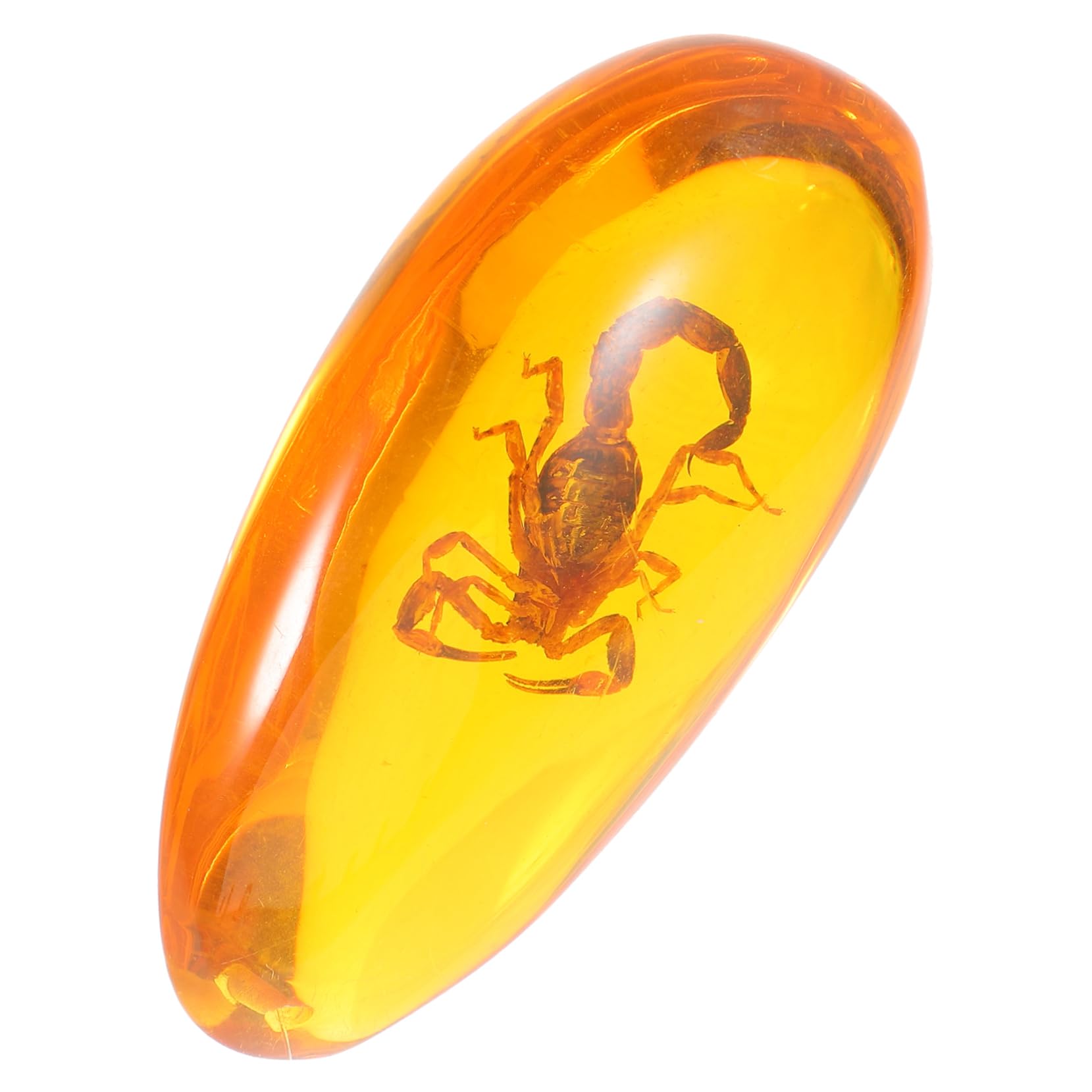 BUGUUYO Amber Insect Ornament Insect Stone Decor Insect Amber Specimen Unique Stones Insect Specimen Insect Collection Insect Sample Amber Stone Specimen Amber Adornment Resin