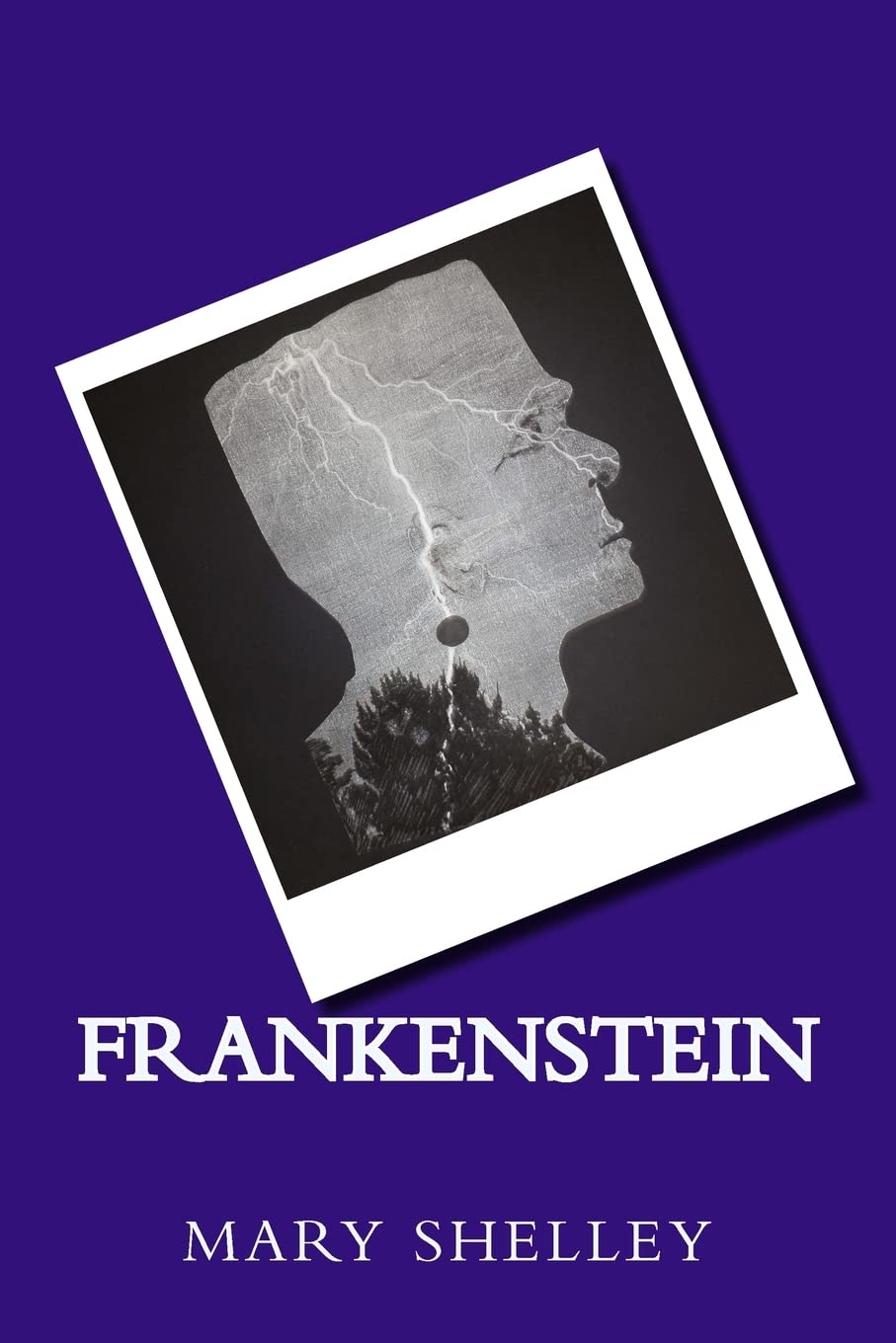 Frankenstein Paperback – Large Print, June 14, 2016