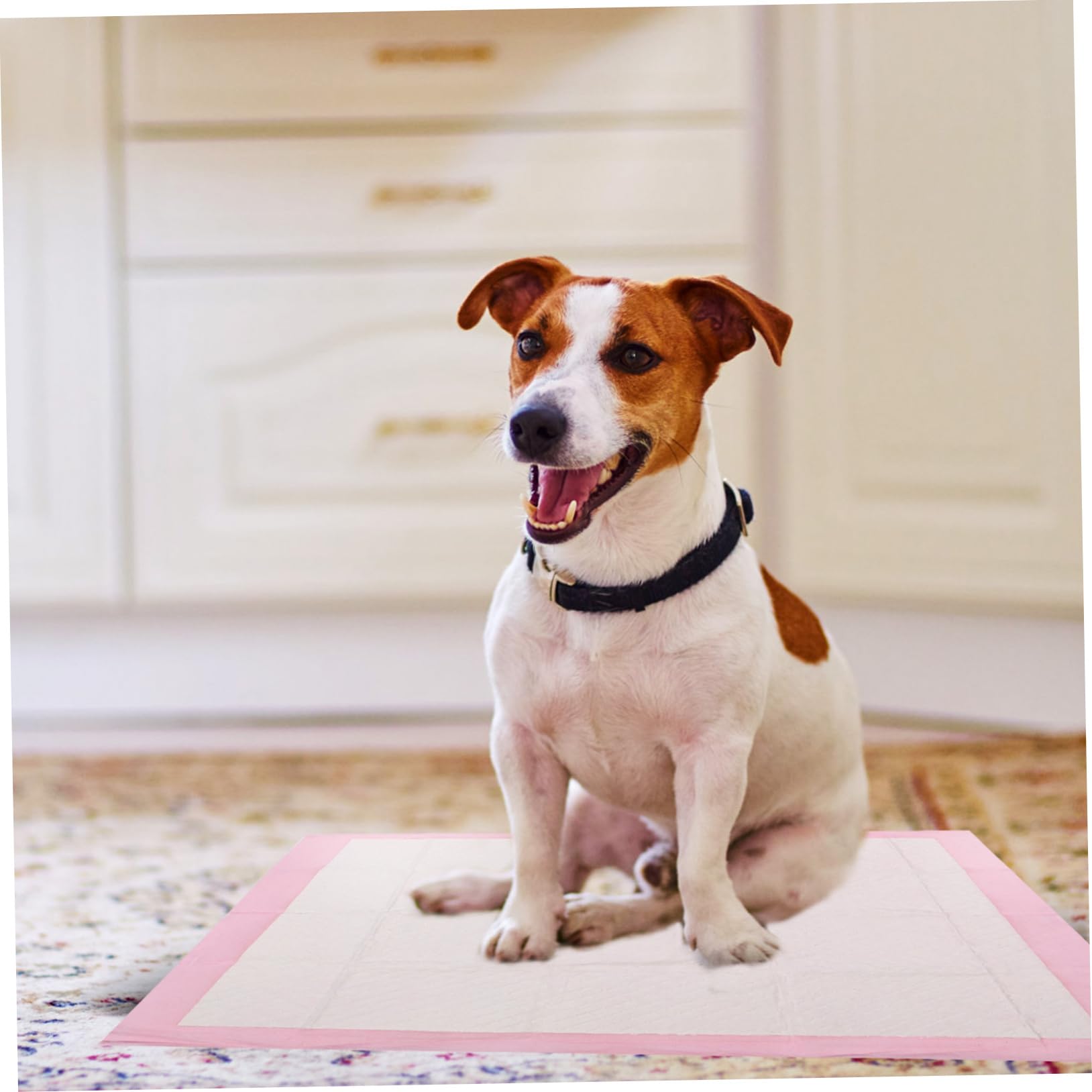 POPETPOP 1paquete Empapadores para Perros Almohadillas Absorbentes para Entrenamiento De Mascotas para Cachorros y Perros Mayores Uso Interior y Exterior