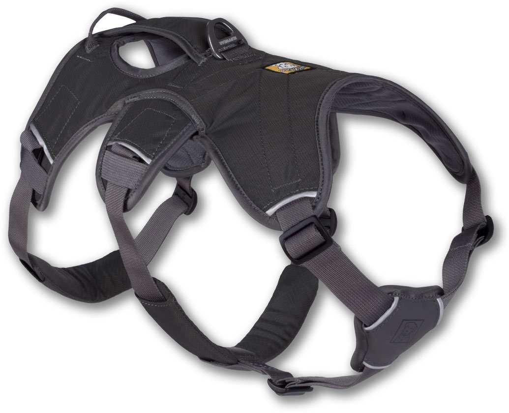 WebMaster Harness S-GREY