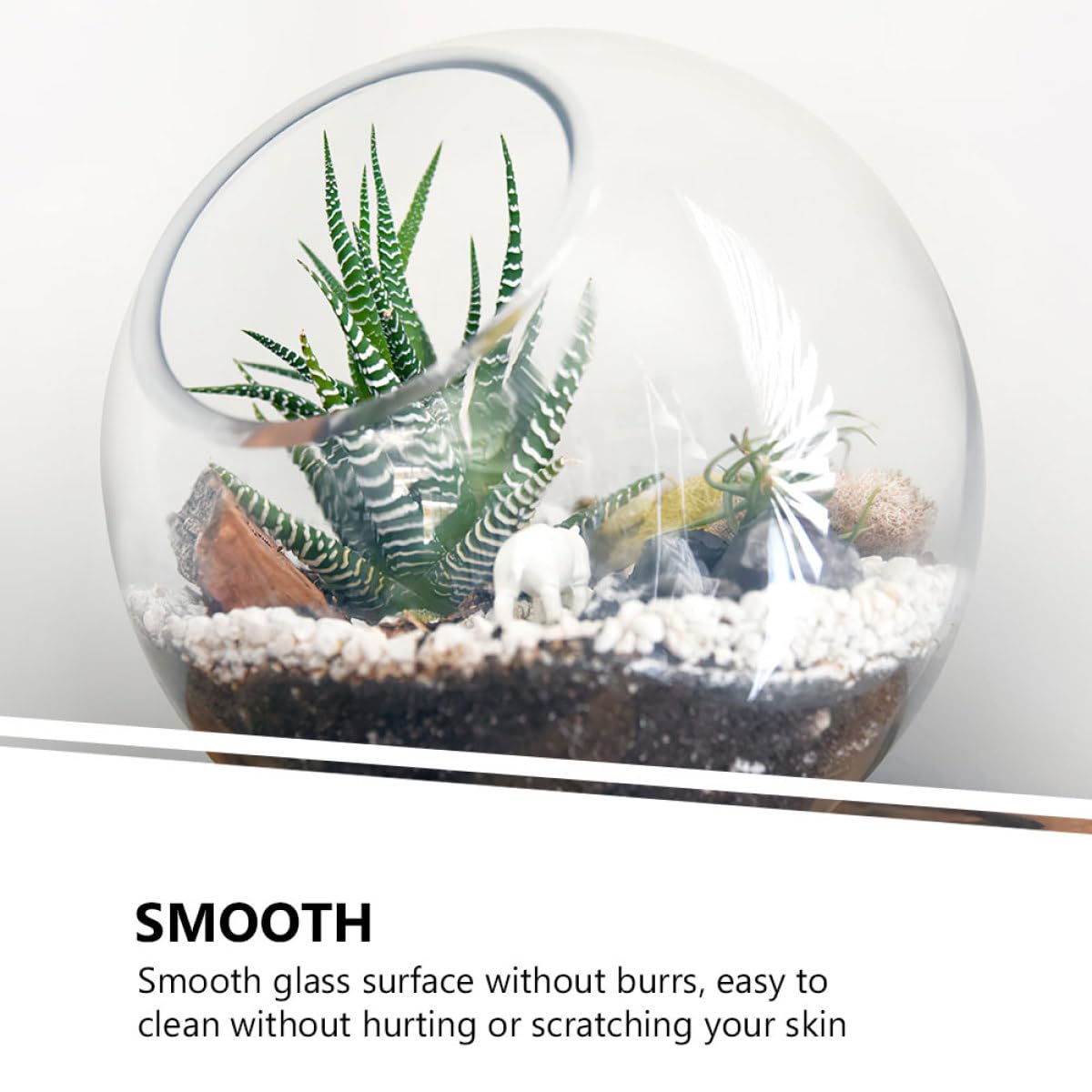 Gatuida Terrario Di Vetro 3 Pezzi Bottiglie Micro Paesaggio Fai Da Te, Contenitori Per Piante Succulente Compatte Per Decorazioni Casa Ufficio Matrimonio