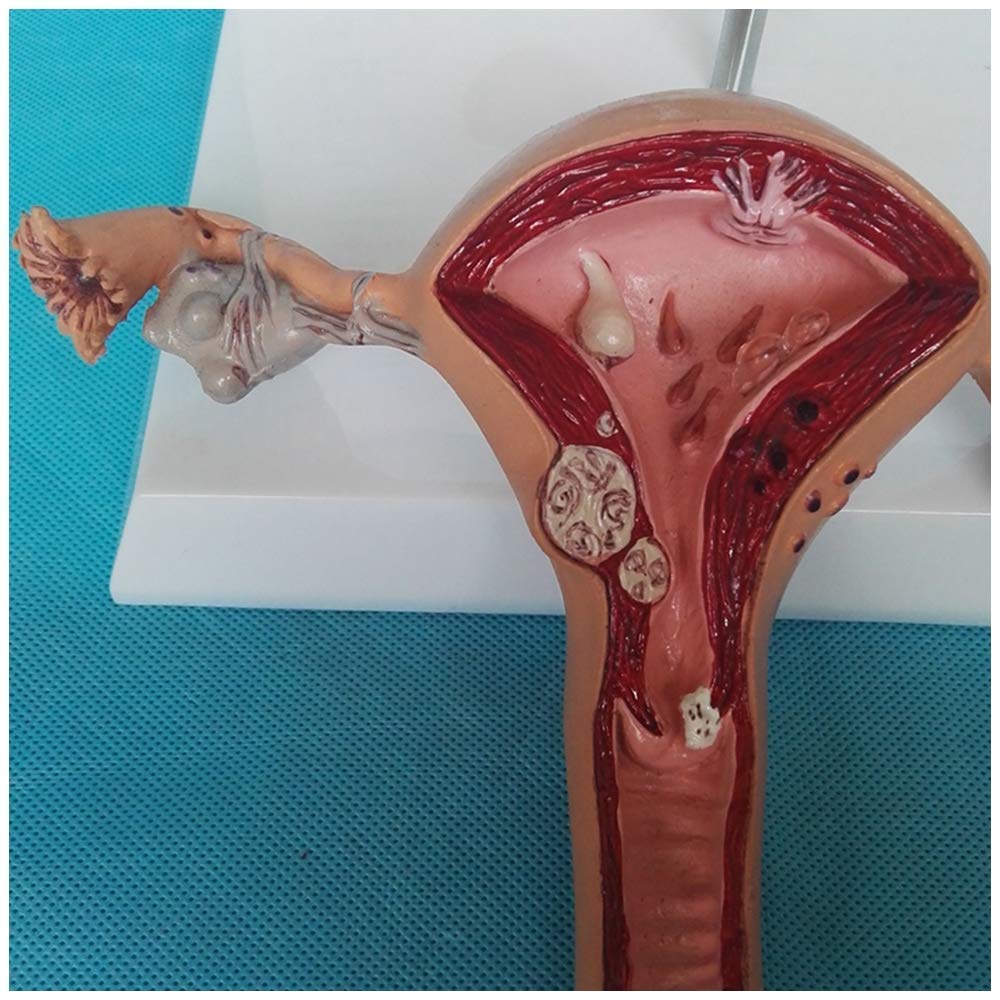 Winx Club jinsiy aloqa: geliy va flora