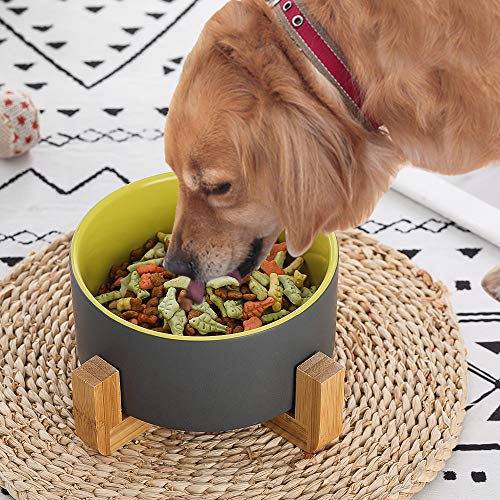 Image of Gray Green Ceramic Dog Bowl with Wood Stand No Spill Pet Food Water Feeder Cats Small Dogs