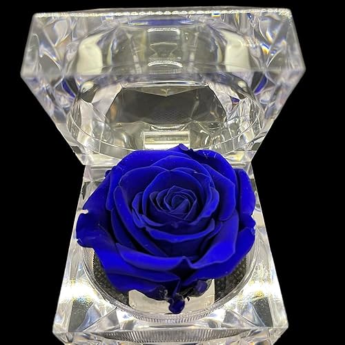 A ARAGÓN Rosas preservadas auténticas 100% naturales, flores colombianas preservadas hechas a mano con aroma a rosa natural, perfectas para San