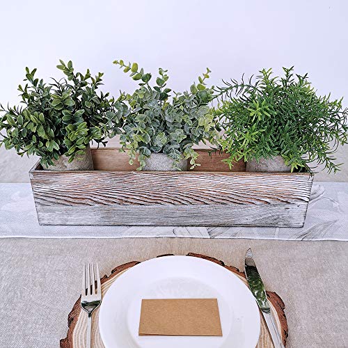 Winlyn Mini Potted Plants Artificial Eucalyptus Boxwood Rosemary Greenery In Pots Faux Potted Herbs Small Houseplants 8.3"-9" Tall For Indoor Greenery Tabletop Décor Centerpiece 3 Pack #TOP2