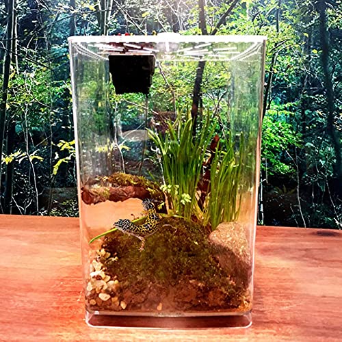 CXJC Reptielenkooi Insectenvoerdoos Acryl Transparant Plastic Desktop Reptielendoos met meerdere ventilatieopeningen en… - Afbeelding 3