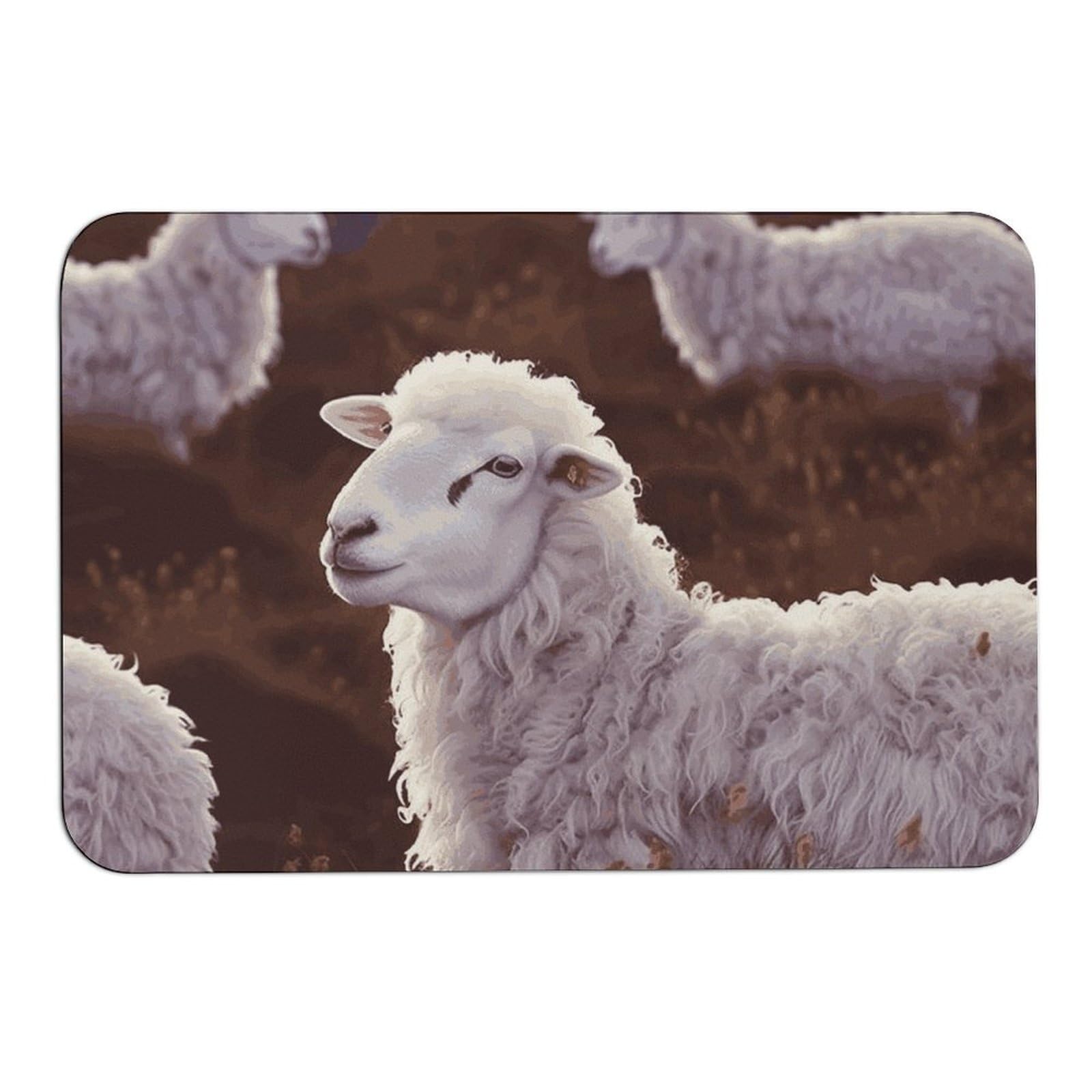 Tapis de boue de diatomée absorbant pour éliminer les traces d'eau et les glissades
