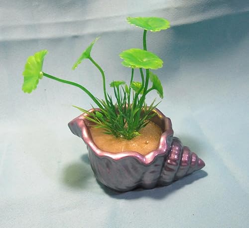 Miniatura 4 de Aquarium Decoration - Mauve and silver shell with green artificial plant. Unique, heavy,and durable solid fish tank ornament. Made in the USA.