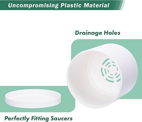 Miniatura 17 de D'vine Dev Paquete de 2 macetas de plástico modernas de 6.5 pulgadas, macetas de jardín pequeñas para plantas con agujeros de drenaje y platillos