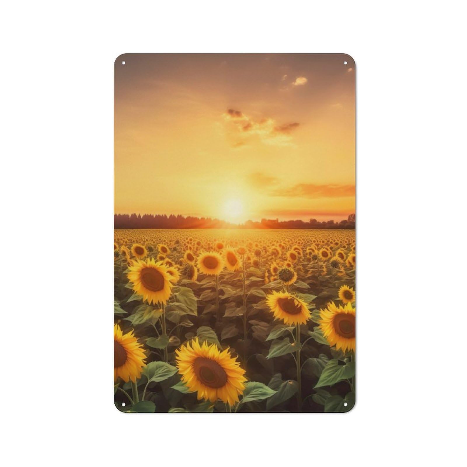 Junmoney Sunflower Field Clear Sky Vintage Metal Plaque 30X20cm For Dining Room Or Kitchen, For Home Decor Collectors Refreshing A Room In Autumn