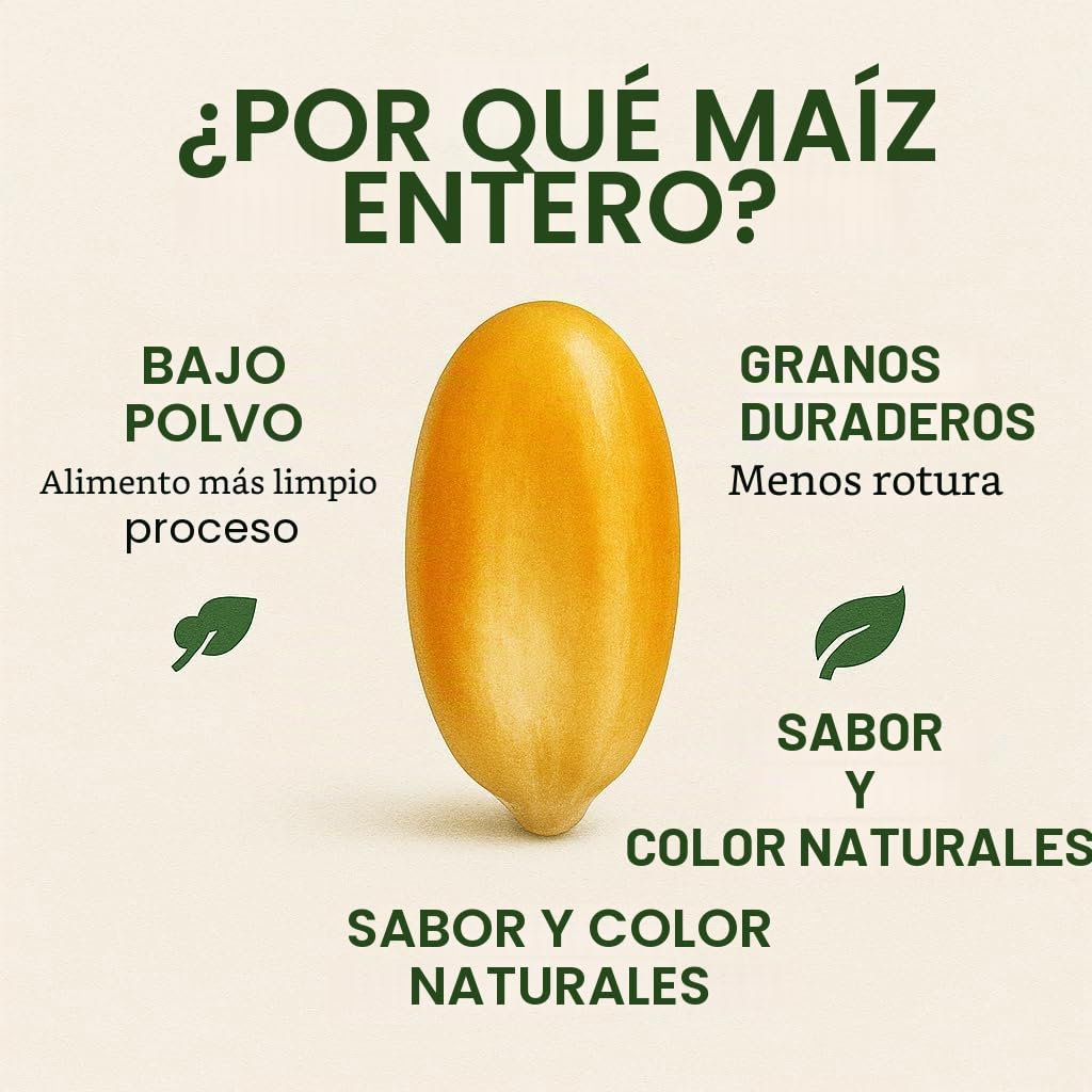 GiDeli Maíz 10 kg amarillo - Granos enteros de maíz en calidad de pienso - Alimento para pollos, patos, caballos y palomas