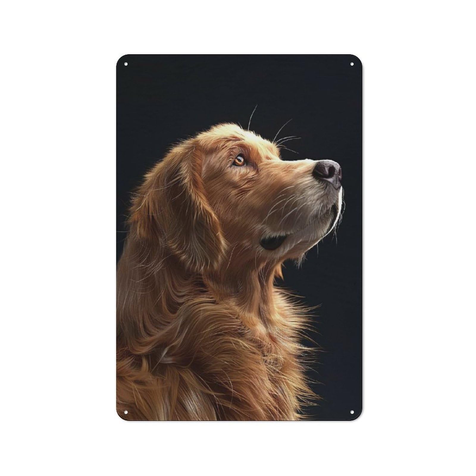 Junmoney Style-4 Retro Metal Wall Sign 30X20cm With Golden Retriever(2) For Hallway Wall, Suited To Hallway Decor Lovers