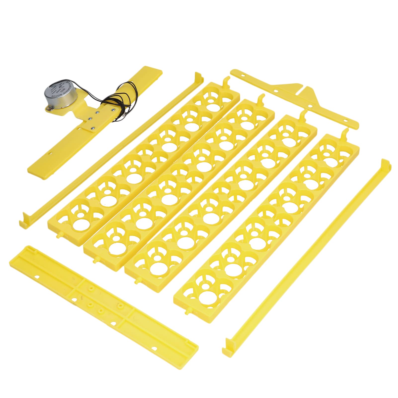 Buy Egg Hatching Incubator, Hovabator Incubator Fertilized Eggs for