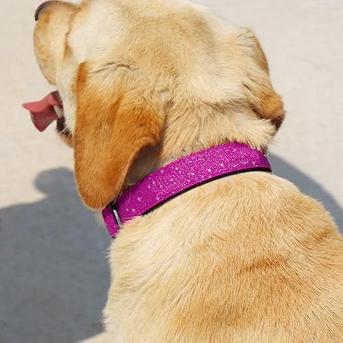 Miniatura 4 de TDTOK Collar básico para perro brillante, cómodo y duradero para perros pequeños, medianos y grandes con hebilla de plástico ecológica, collares de