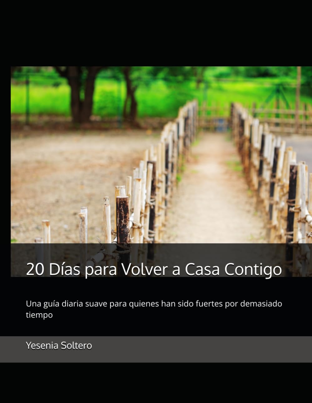 20 Días para Volver a Casa Contigo: Una guía diaria suave para quienes han sido fuertes por demasiado tiempo