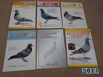 Amazon.co.jp: 社団法人 日本レース鳩協会 レース鳩 月刊誌 会員