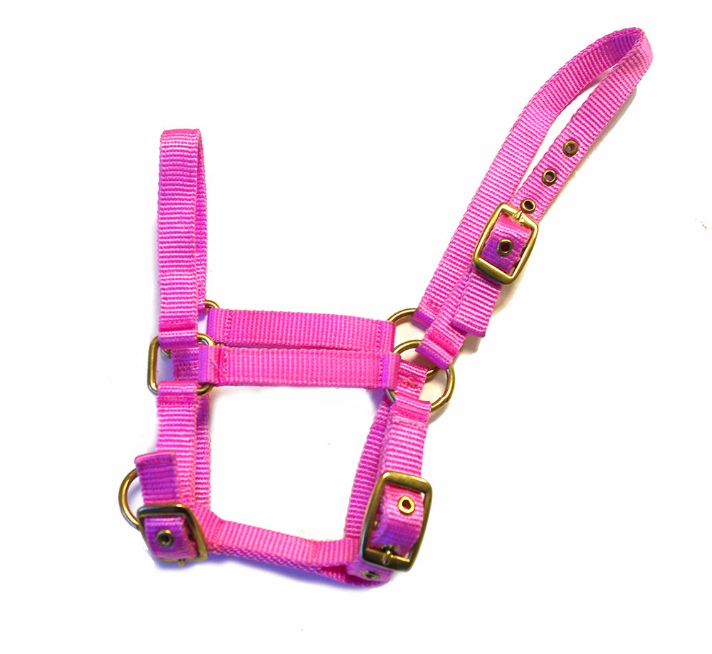 Rhinegold - Colletto in Nylon